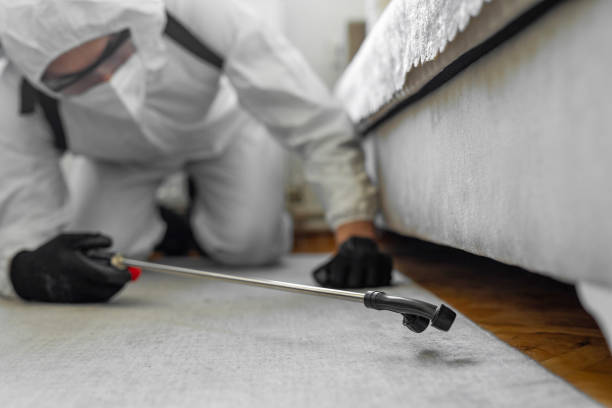 Professional Mosquito Control technician working in Holmes County County, OH